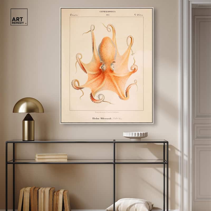 Verany The Octopus 1815 II Canvas by Art Remedy