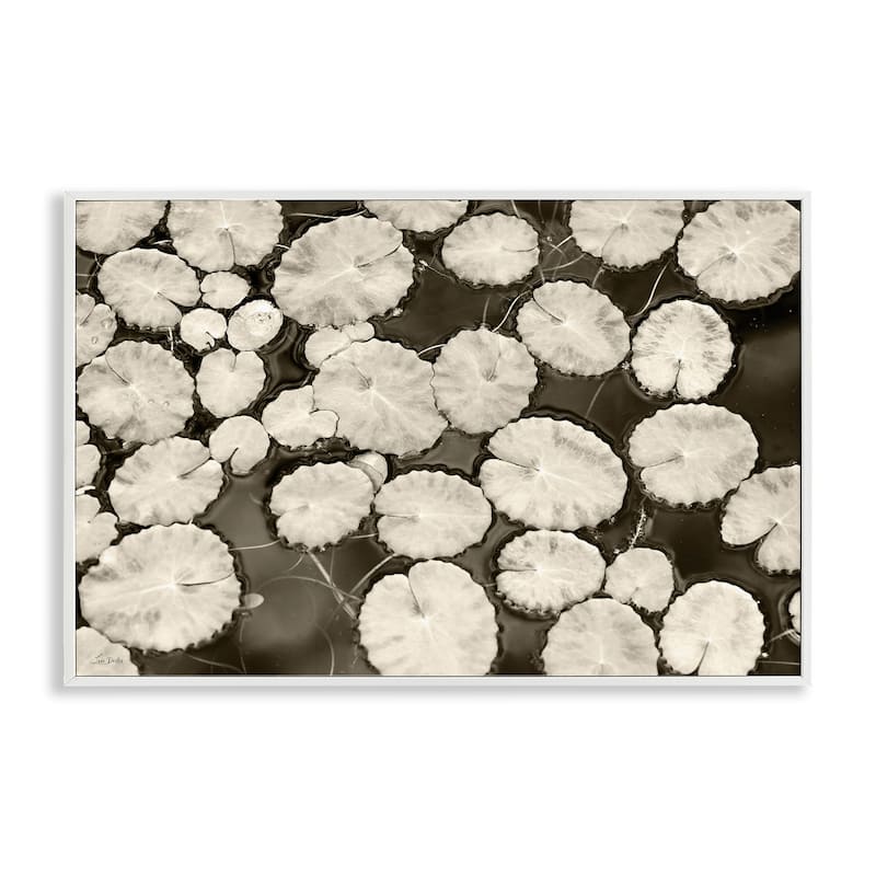 Stupell White Floating Lily Pads Framed Giclee Art Design By Lori Deiter - 30 x 20 - White