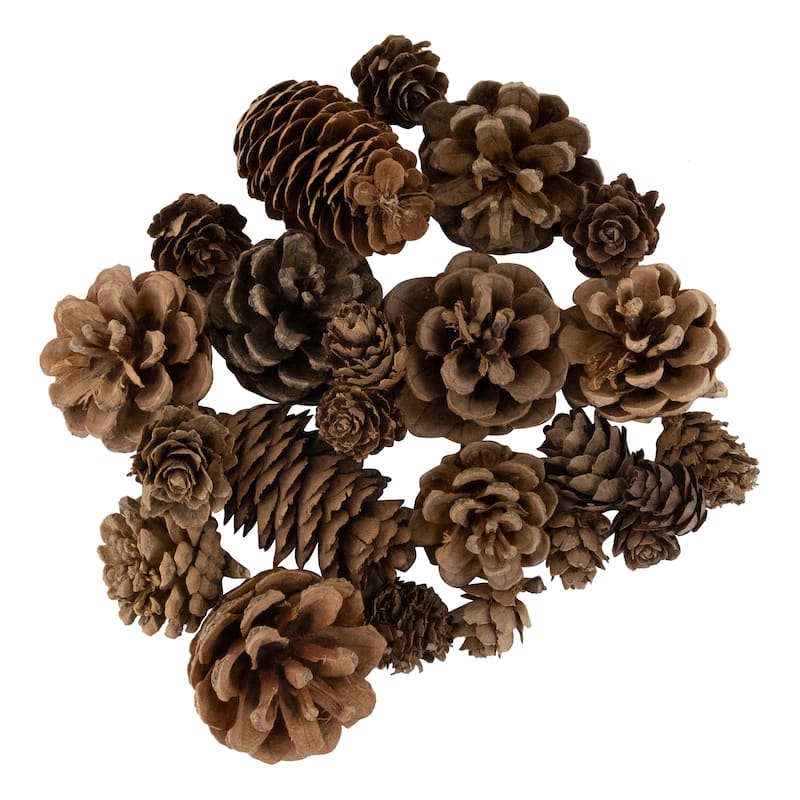 Ornament, Berries and Pinecones Christmas Decorations - 6"