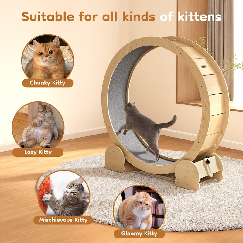 Cat Exercise Wheel - 46" Running Treadmill for Indoor Cats