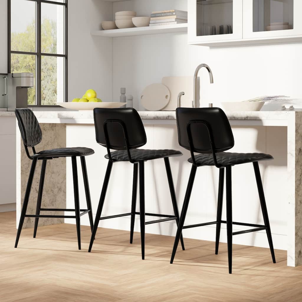 WYNDENHALL Skyla Contemporary 16 inch Counter Height Stool (Set of 2) - 19.5"D x 19"W x 38"H