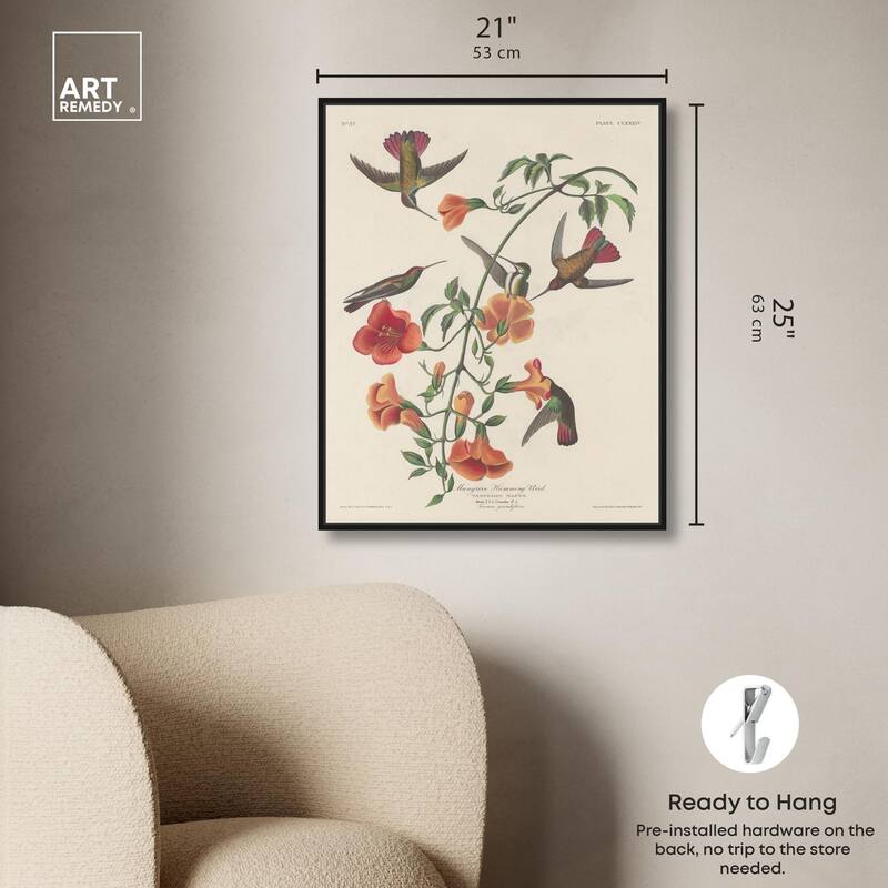 Humming Bird 1834 Canvas by Art Remedy