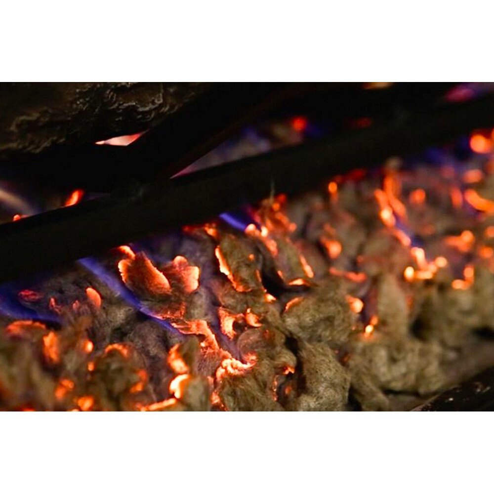 Shop Regal Flame Platinum 7 Oz Bright Rock Wool Gas Fireplace