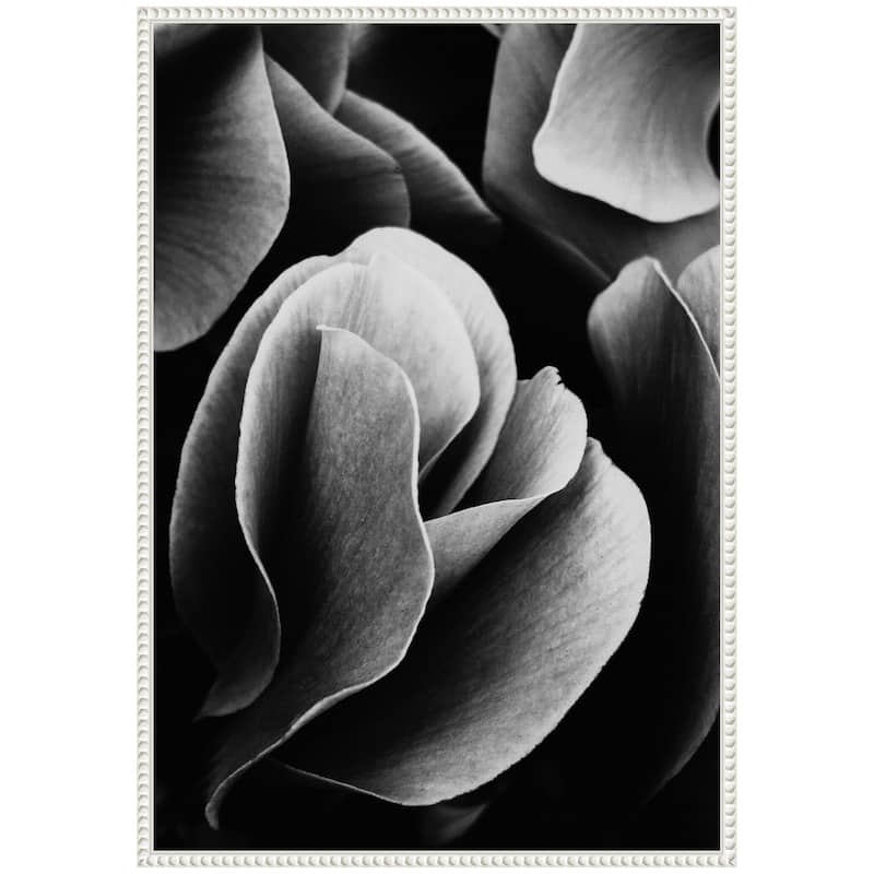 Kate and Laurel Sylvie Black and White Flower Petals Framed Canvas by Emiko and Mark Franzen of F2Images