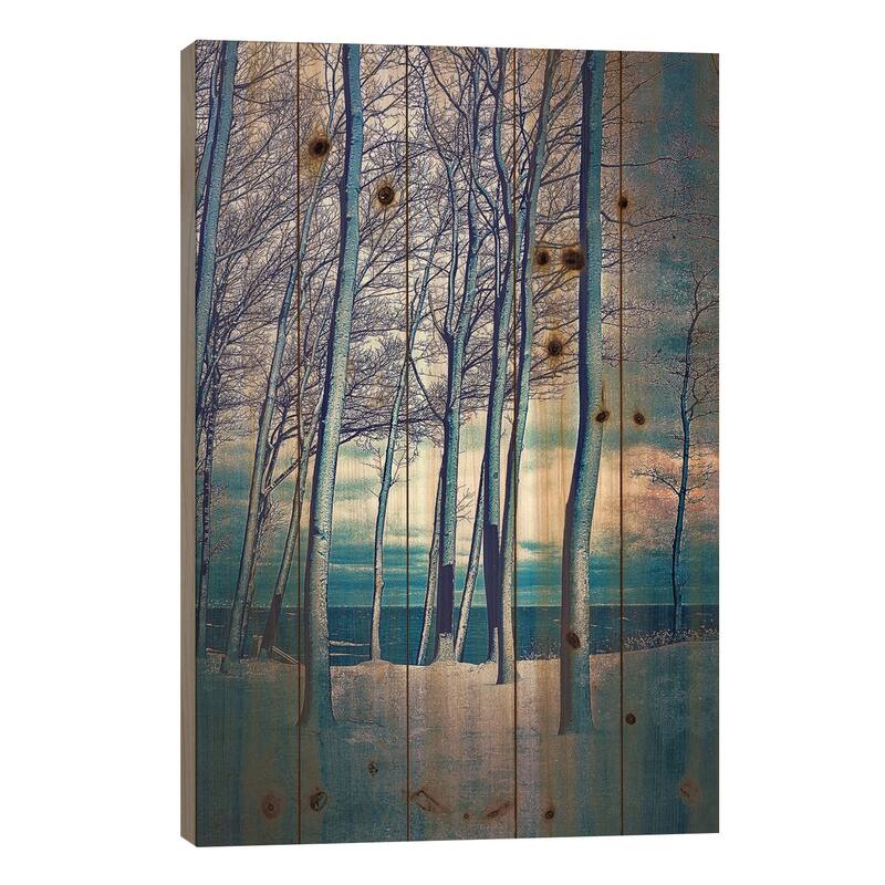 Winter At Lake Michigan Print On Wood by Michelle Calkins - Multi-Color - 40x26x1.5