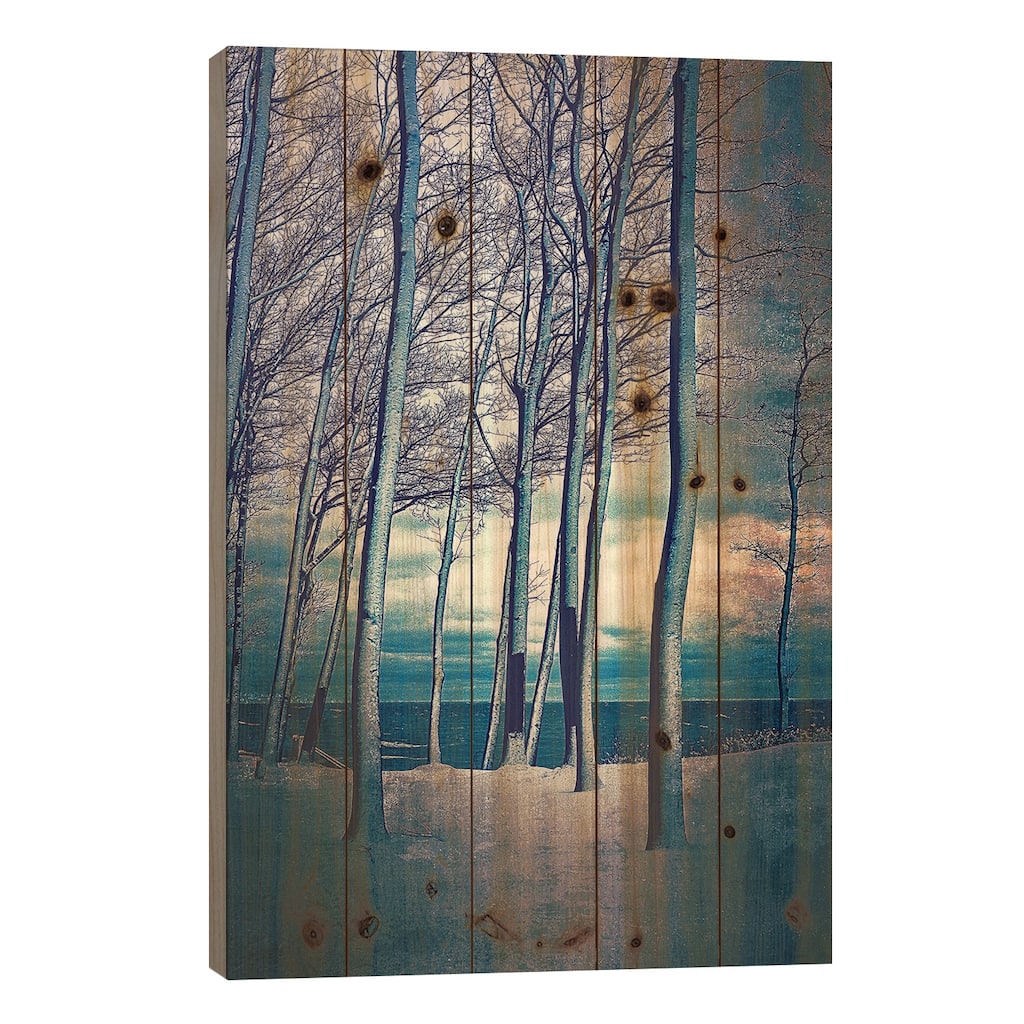 Winter At Lake Michigan Print On Wood by Michelle Calkins - Multi-Color