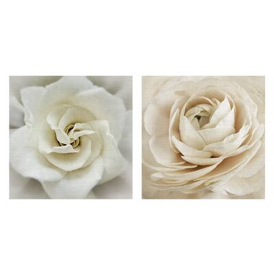 Dream, Faded Gardenia by Rebecca Swanson Canvas Art Prints