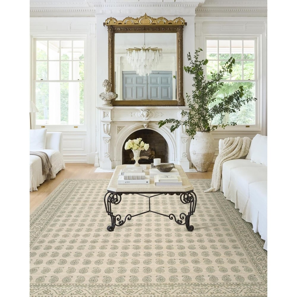 Nabela Noor Home x Livabliss Alo Traditional Area Rug