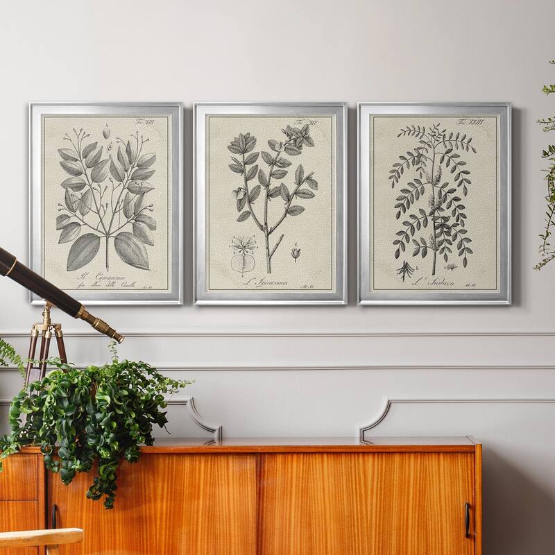 Antique Black & White Botanical VII Premium Framed Canvas - Ready to Hang - Multi-Color