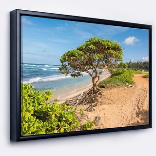 Designart 'Green Tree on Beach in Kauai Hawaii' Seashore Framed Canvas ...