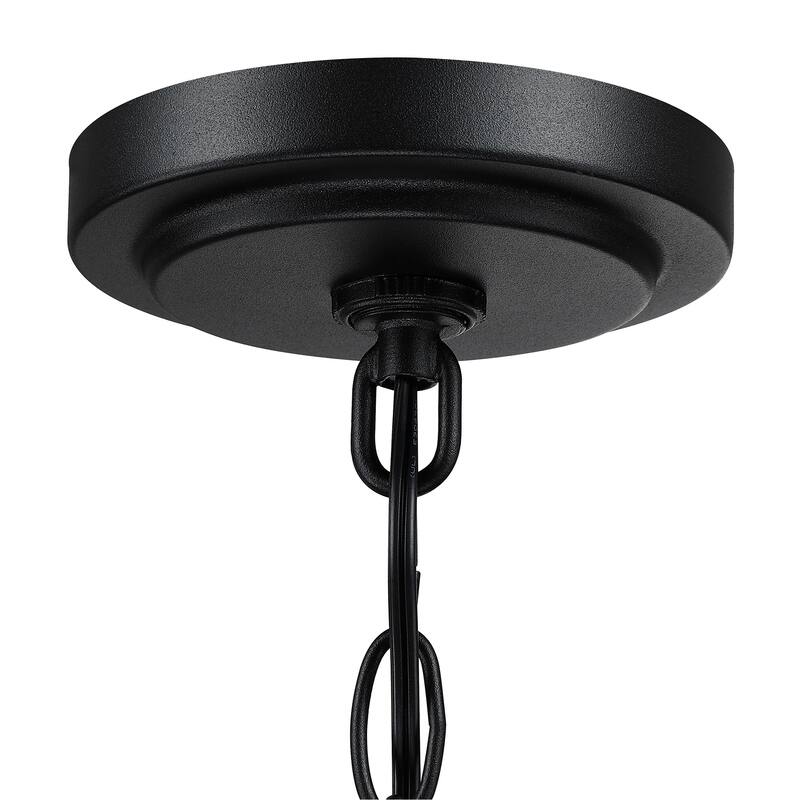 1-Light Matte Black and Barnwood Accents Outdoor Hanging Pendant Light