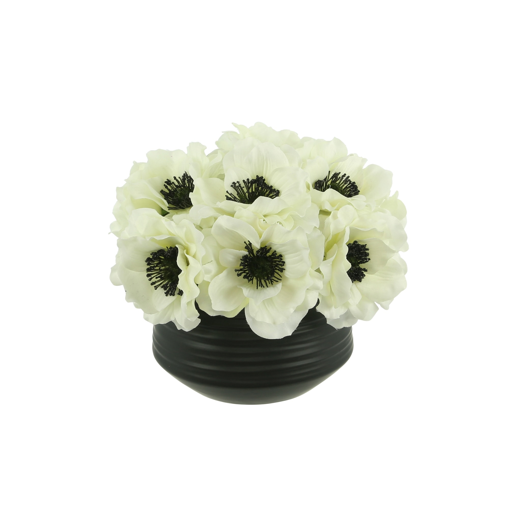 Anemone Floral Arrangement in a Small Planter - White, Black