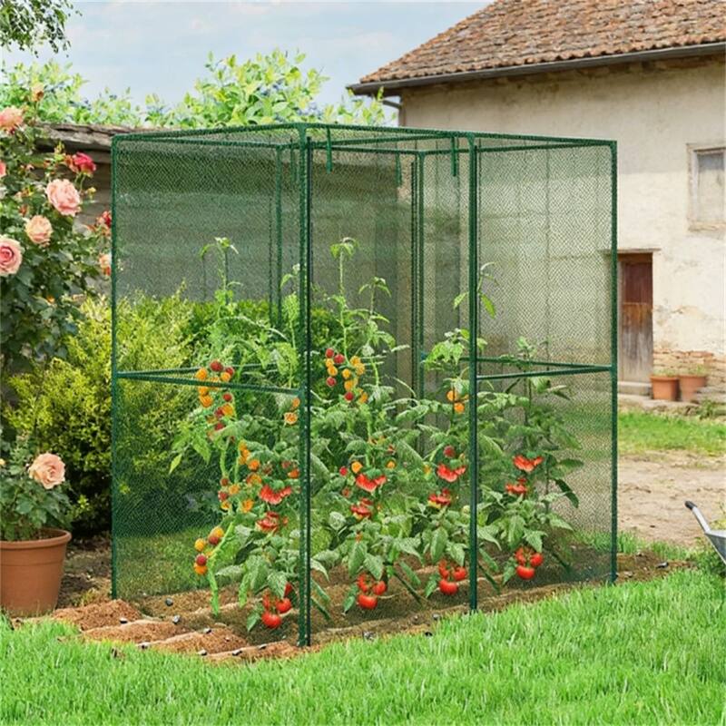 Crop Cage, Planting Cage, Plant Protection Tent, - Metal
