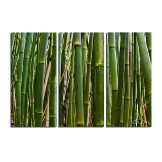 'Maui Palms II' 3-Piece Wrapped Canvas Wall Art Set by Chris Doherty - Green