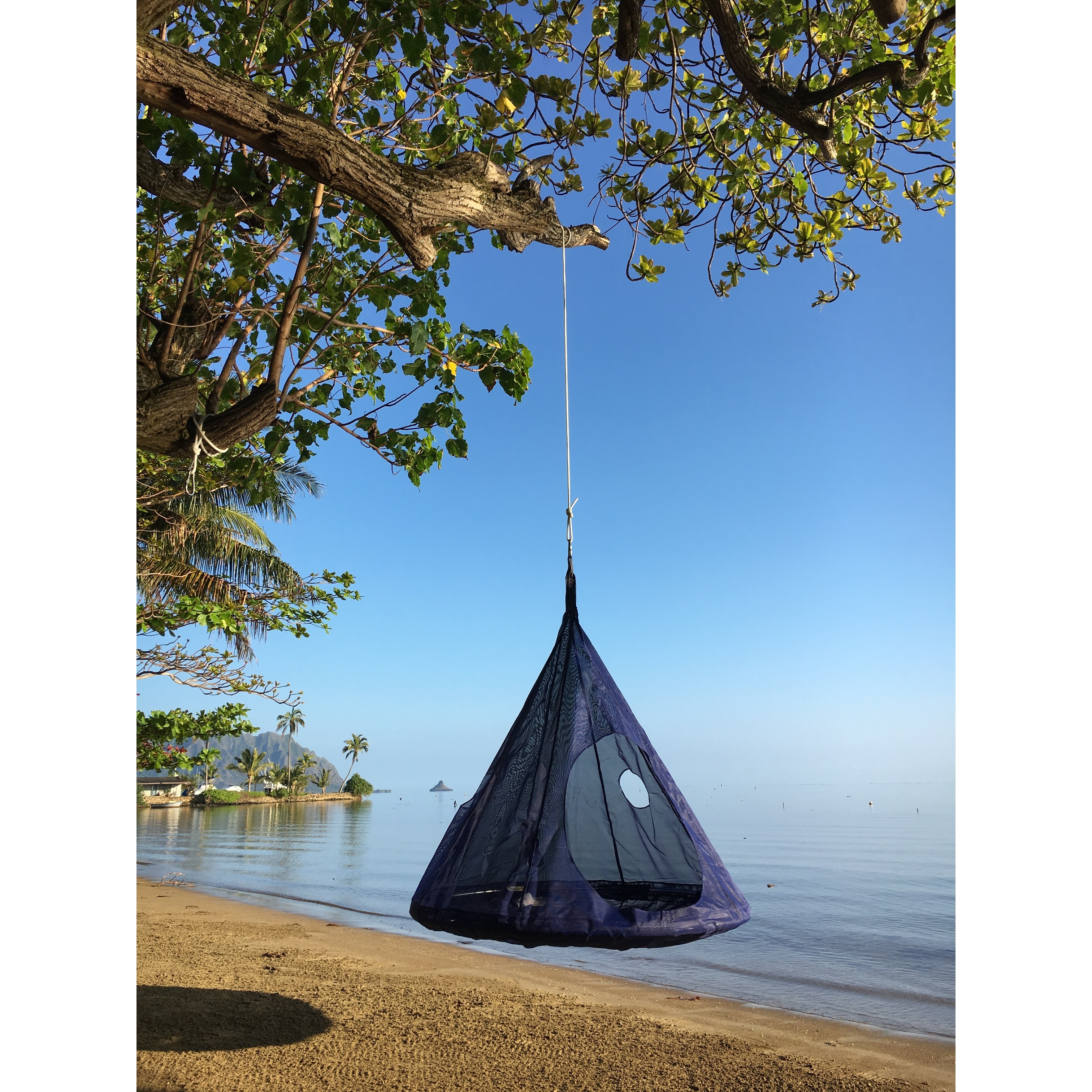 Tear drop hammock hotsell