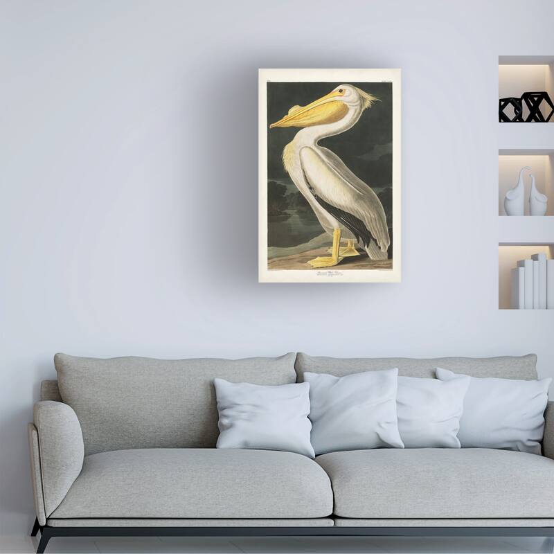 John James Audubon 'American White Pelican' Canvas Art