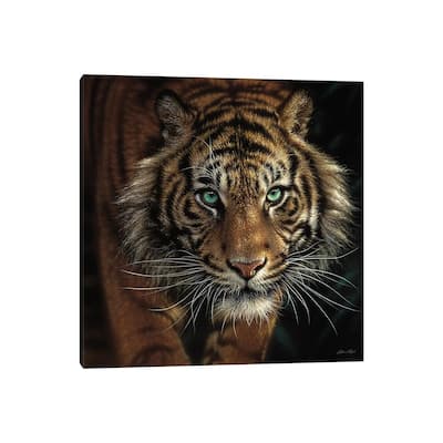 iCanvas "Eye Of The Tiger, Square" by Collin Bogle Canvas Print