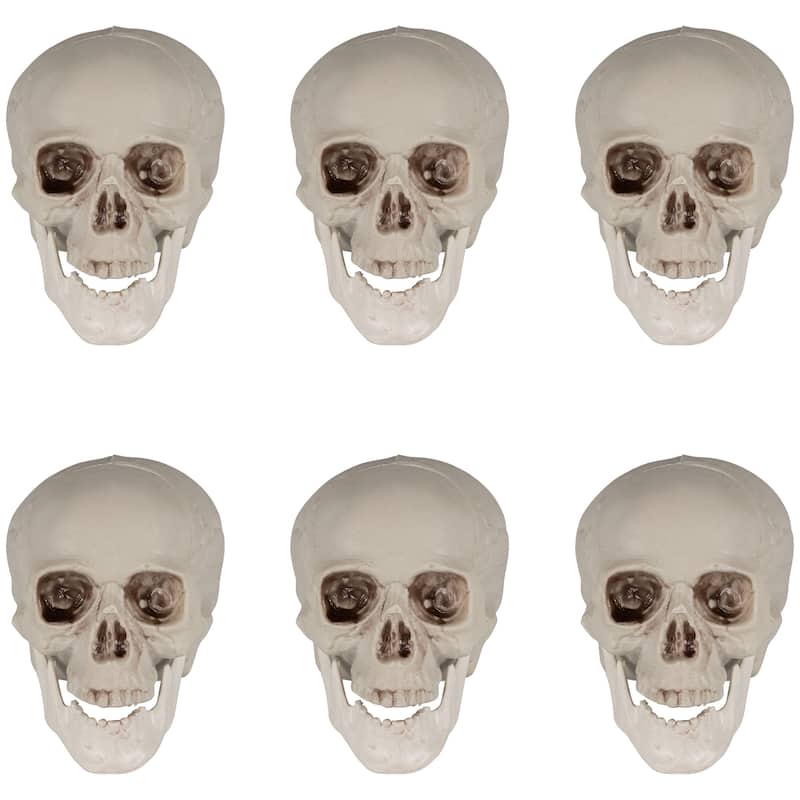 Skeleton Skulls Halloween Decorations - 4.5" - Set of 6