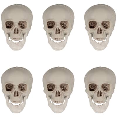 Skeleton Skulls Halloween Decorations - 4.5" - Set of 6