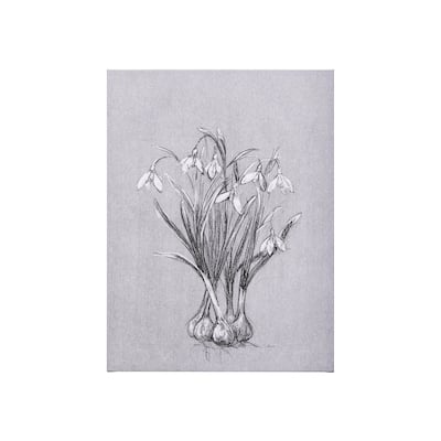Botanical Sketches VI (Grey) (21 x 35) Canvas Art Print