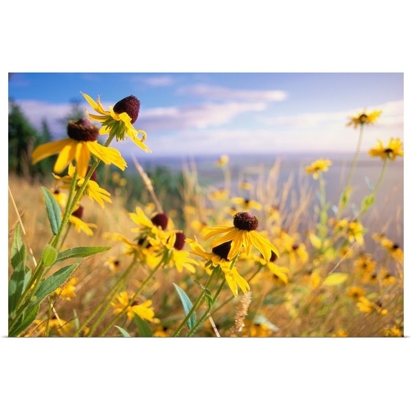 "Blanchard Mountain." Poster Print