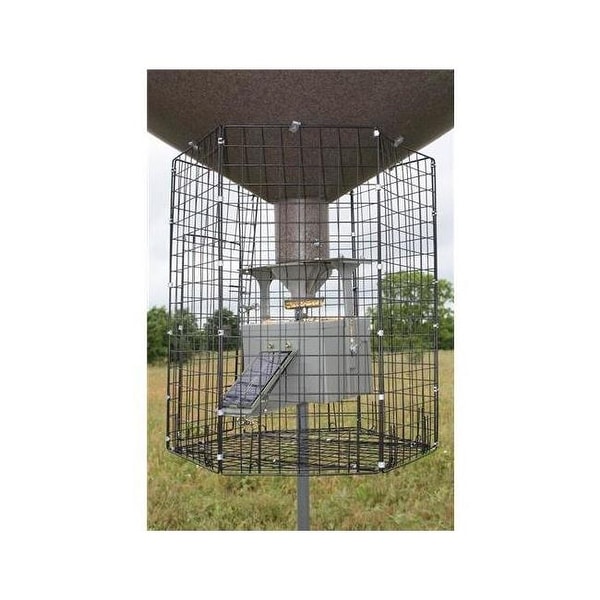 Boss Buck Bb 1vc Varmint Cage Large Deluxe Round Overstock 29972339