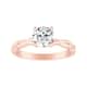 Option Rose