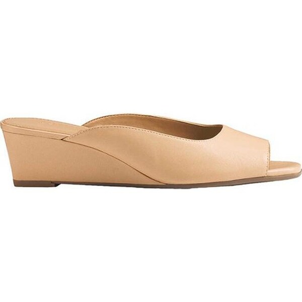 aerosoles magnet