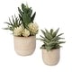 preview thumbnail 1 of 3, Uttermost Seaside Succulents, Set Of 2 - 9"W x 12"H x 7"D