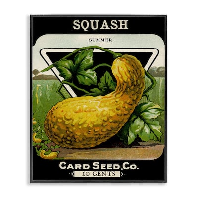 Stupell Vintage Garden Squash Framed Giclee Art Design By Lil' Rue