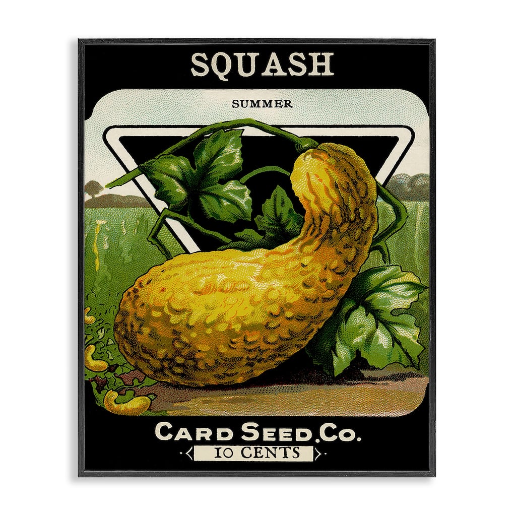 Stupell Vintage Garden Squash Framed Giclee Art Design By Lil' Rue