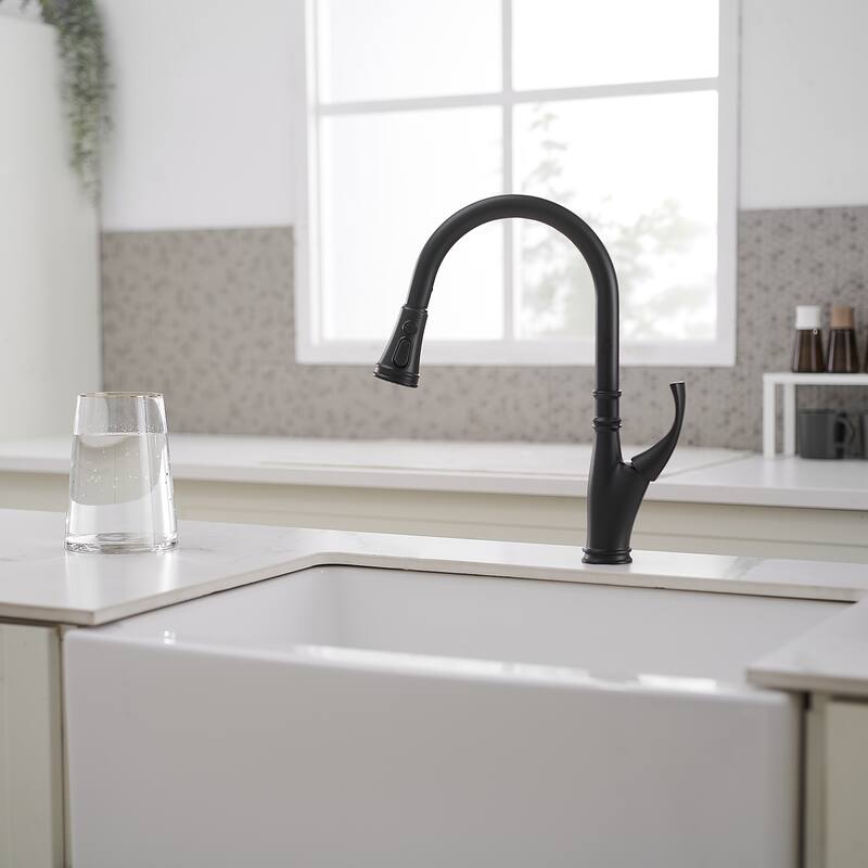 WIZ Single Handle Pull Down Sprayer Kitchen Faucet In Matte Black