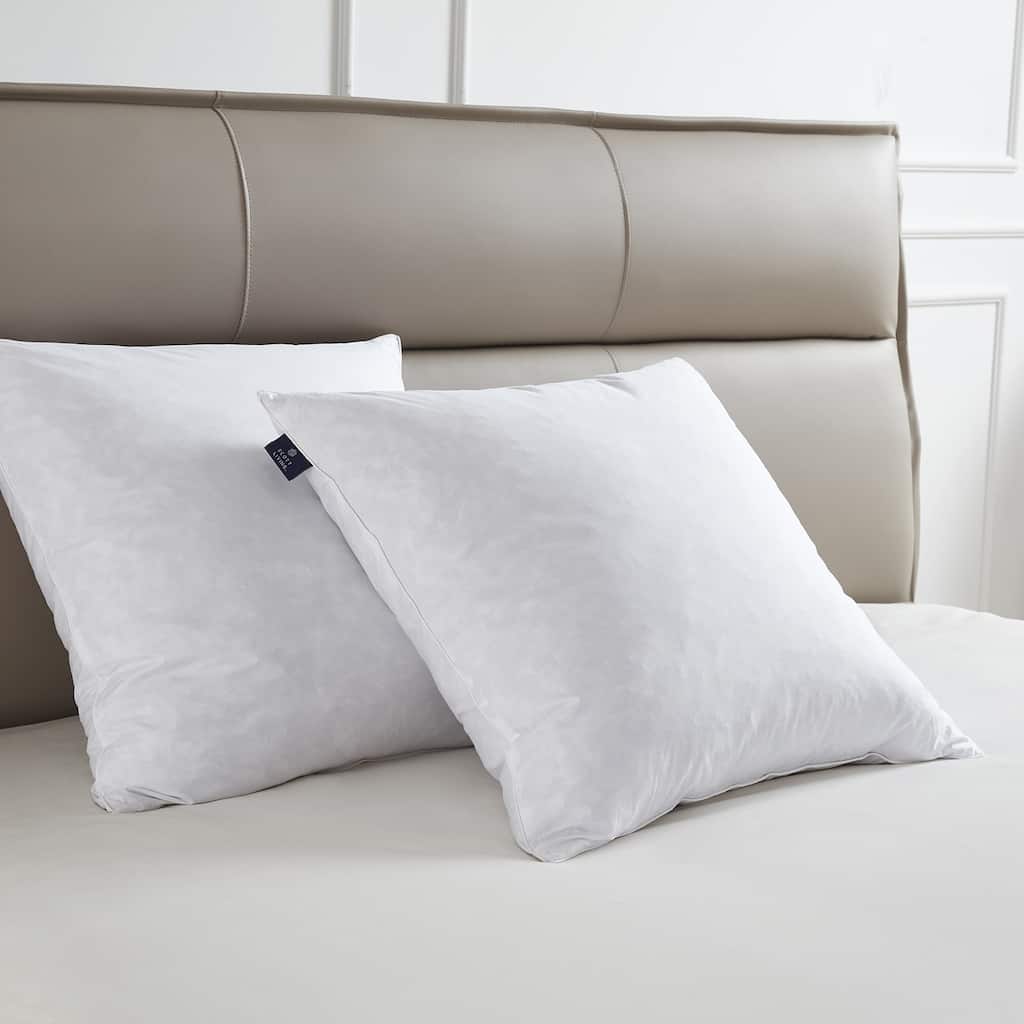 Decorative Feather Pillow Insert (Set of 2) - White
