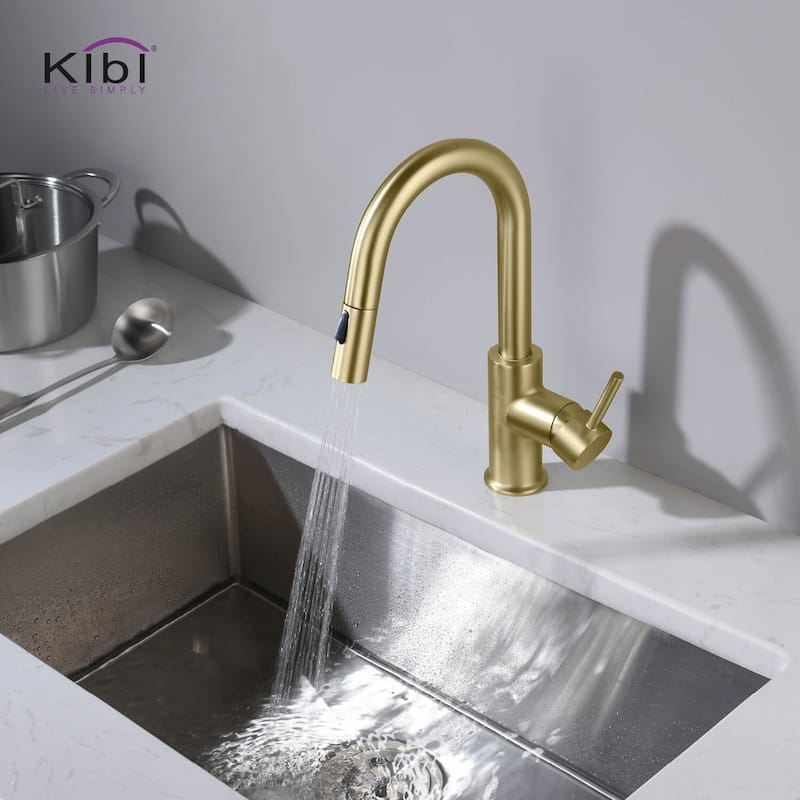 Single-Hole Pull-Down Kitchen Faucet with Sprayer and Magnetic Docking