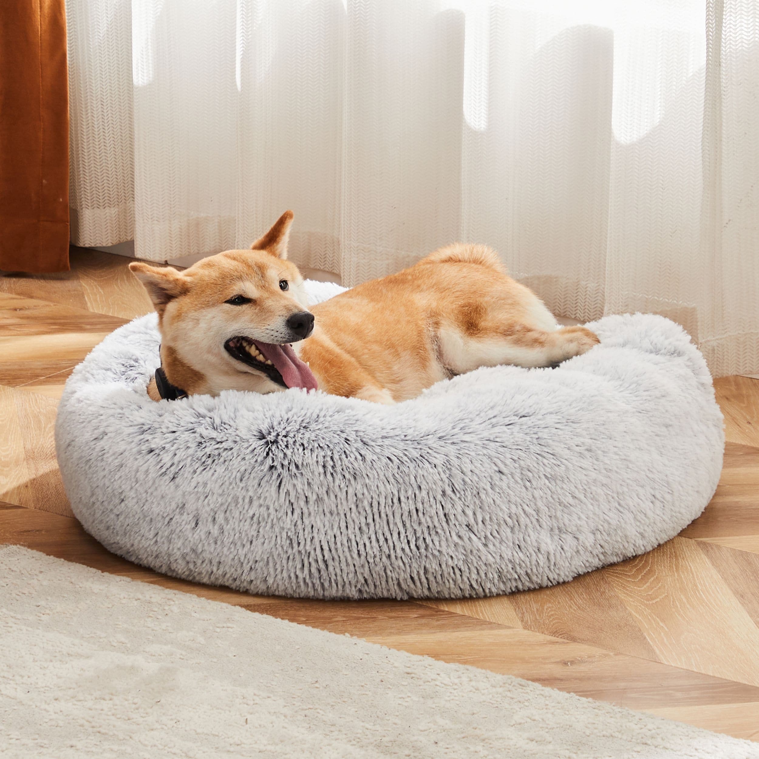 Washable dog mattress outlet