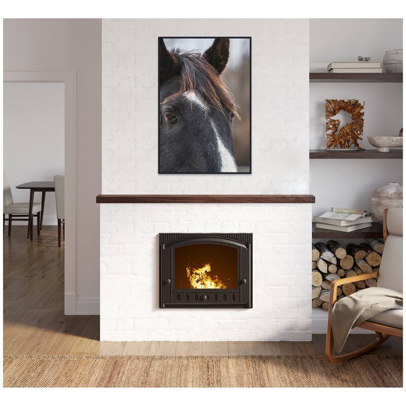 Kate and Laurel Black and White Horse by Emiko and Mark Franzen F2 Images Framed Canvas Wall Art Print