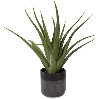 Uttermost 60204 Tucson 19" Tall Ceramic Faux Flora Planter - Matte Glass