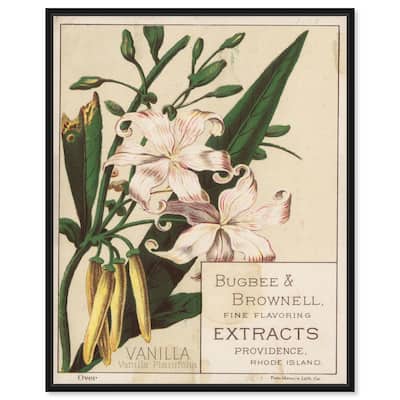 Vanilla Planifolia Canvas by Art Remedy