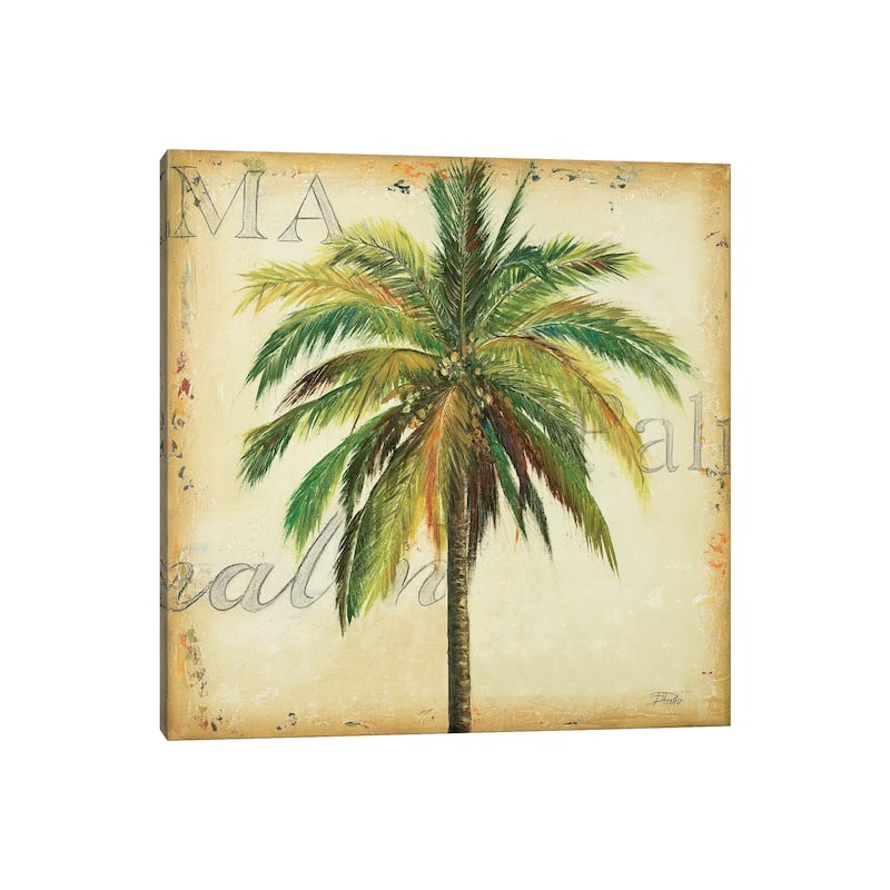 iCanvas "La Palma I" by Patricia Pinto Canvas Print