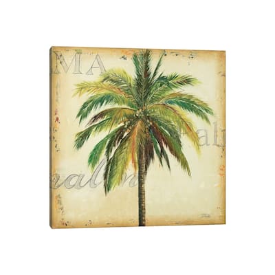 iCanvas "La Palma I" by Patricia Pinto Canvas Print