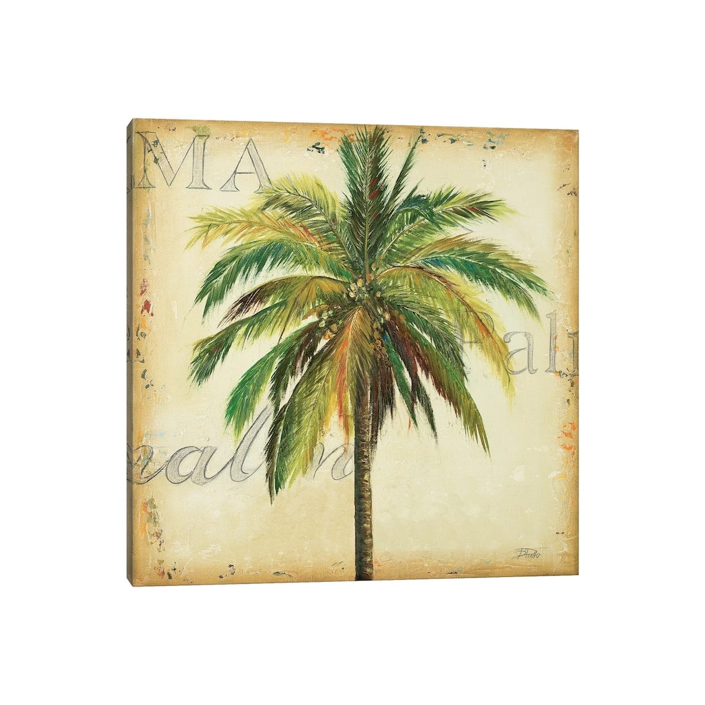 iCanvas "La Palma I" by Patricia Pinto Canvas Print