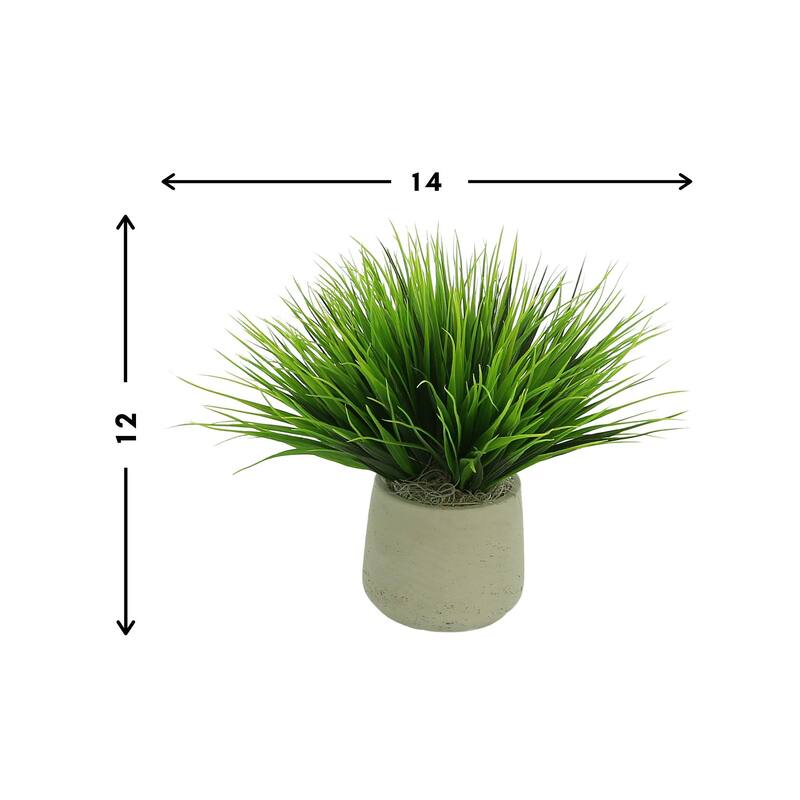 Vanilla Grass Arranged in a Fiberstone Pot - Green