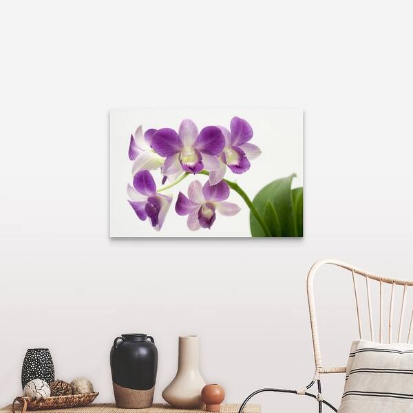 Shop Orchid Canvas Wall Art Overstock 16491152