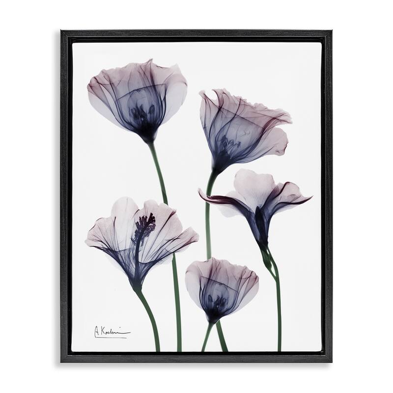 Stupell Subtle Fresh Flowers Framed Floater Canvas Wall Art Design By Albert Koetsier - 17 x 21 - Black