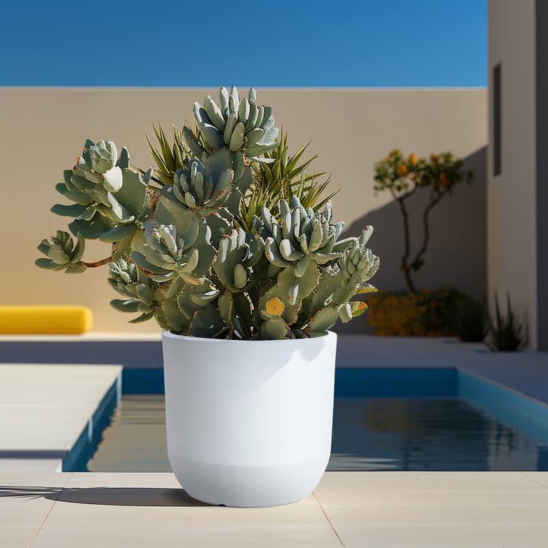 Round Smooth Finish Indoor/Outdoor MgO Planter, Single Planter for Indoors/Outdoors