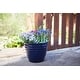 preview thumbnail 19 of 20, Southern Patio Beehive Planter