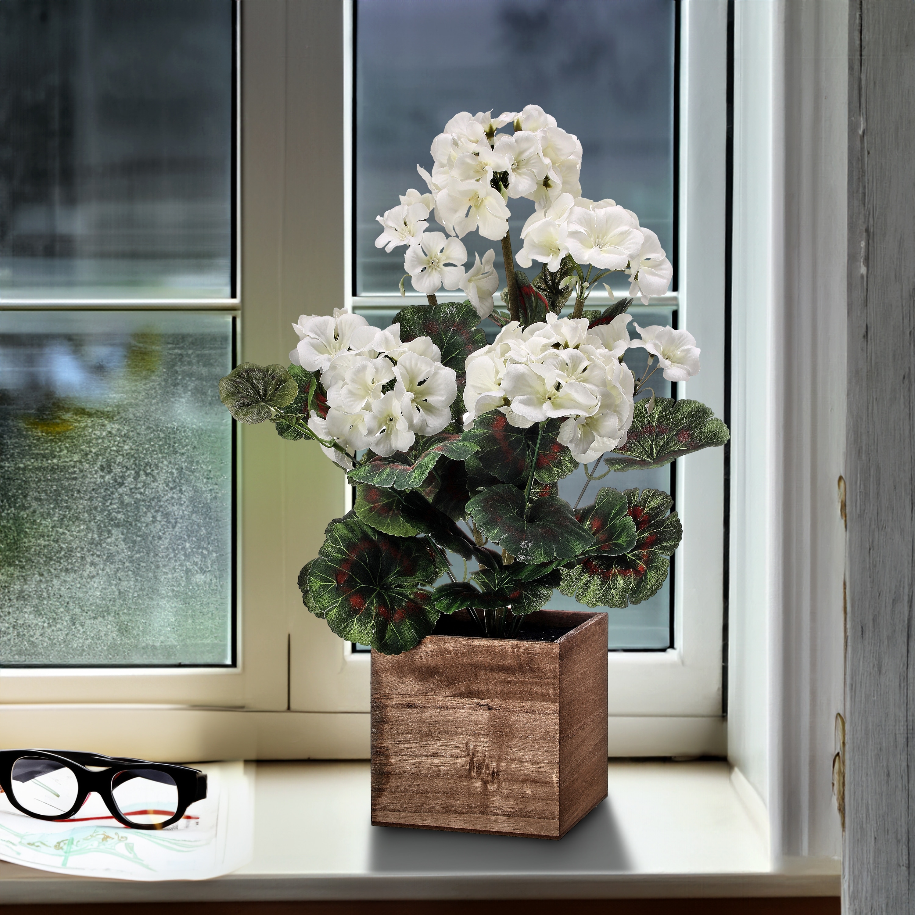 Potted Geranium In Wood Box 16.5"