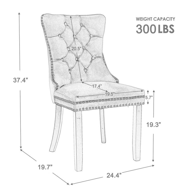 Velvet Dining Chairs Set of 2, Accent Diner Chairs Upholstered Fabric Living Room Chairs Side Chair Stylish Kitchen Chairs
