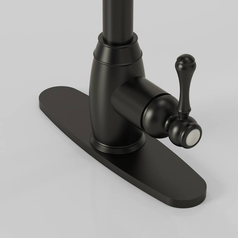 Single Handle Pull Down Sprayer Hot and Cold Kitchen Faucet 360° Spout Swivel with Deckplate