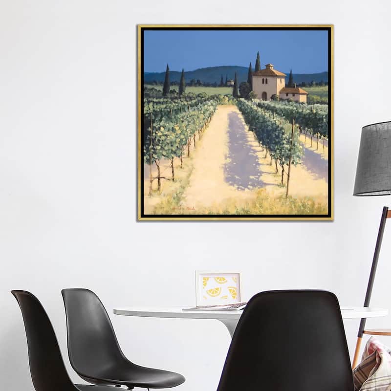 iCanvas "Vineyard Shadows" by David Short Framed Canvas Print